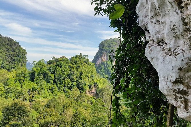 Thrilling Zipline Adventures at Thai'd Up in Krabi's Lush Jungle - Tree ladders and the 60-meter abseil: the moment you plan around