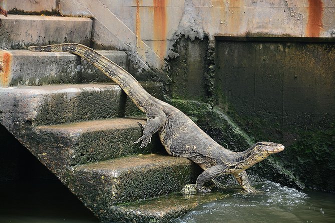 Timeless Thonburi Canal and Food Tour - Northeastern Soup and Thai Dessert: The Hearty Finish