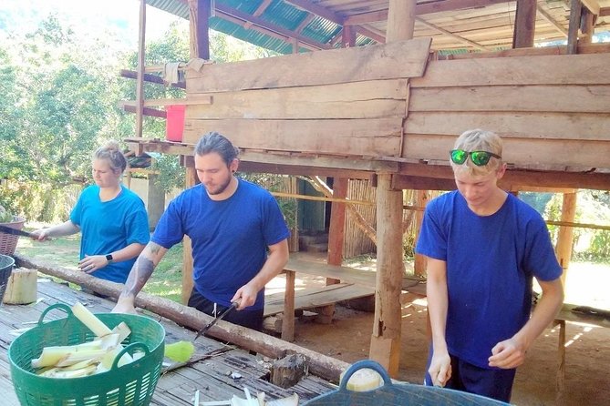 Top Pick - Full or Half Day @Elephant in Wild Sanctuary ChiangMai - Lunch, Gear, and Wet-Shoe Reality
