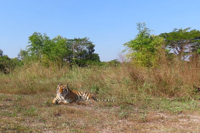 Tour of the Wildlife Rescue Center - Key highlights you’ll care about