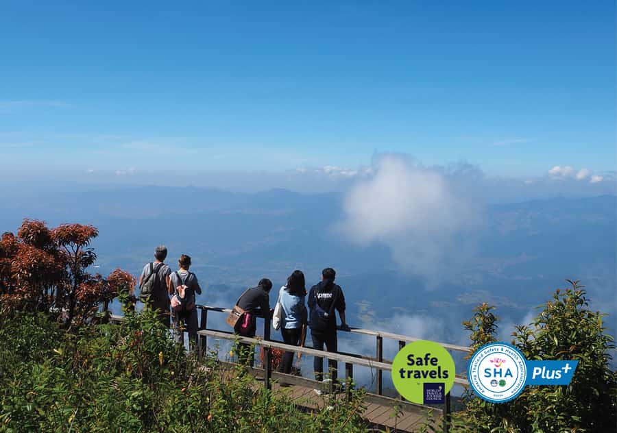 Tour with Hike in Kiew Mae Pan Natural Trail from Chiang Mai - Entering Inthanon’s cooler air: why this hike feels different