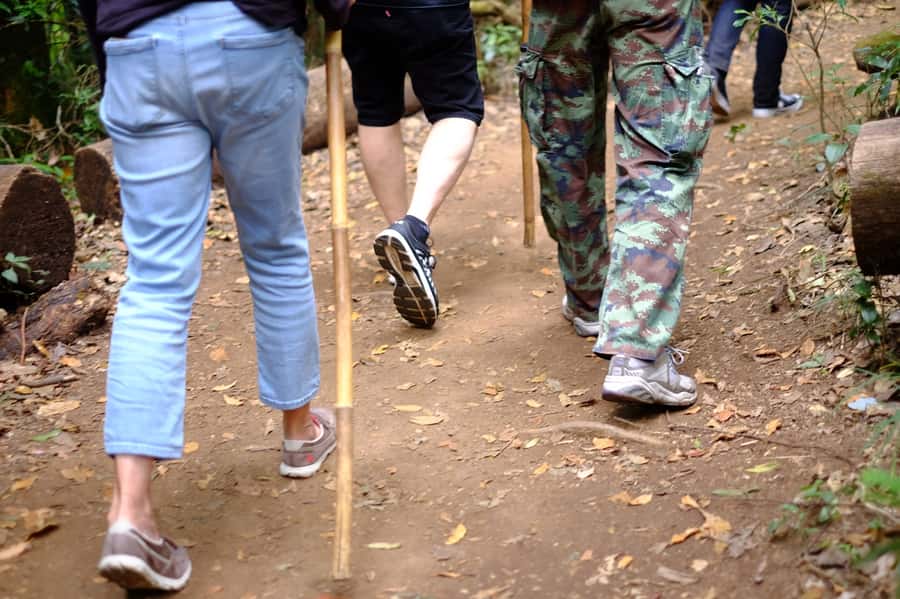 Tour with Hike in Kiew Mae Pan Natural Trail from Chiang Mai - Van comforts, small group pacing, and what that means for you