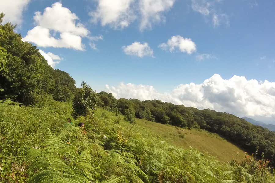 Tour with Hike in Kiew Mae Pan Natural Trail from Chiang Mai - Ang Ka Natural Trail: quick steps at the highest-peak area