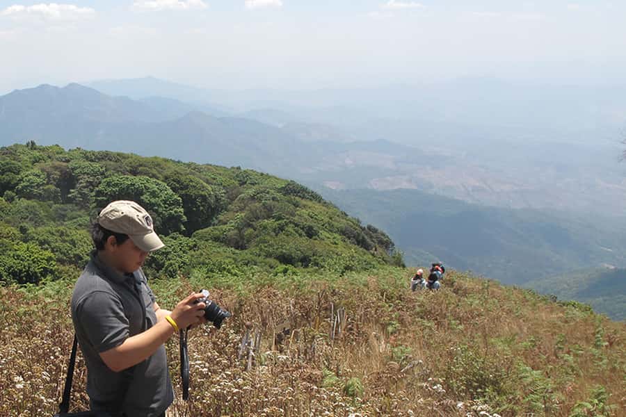 Tour with Hike in Kiew Mae Pan Natural Trail from Chiang Mai - Mae Klang Luang: coffee culture and a village pause