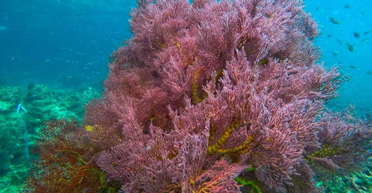 Trang: Emerald Cave, Kradan, Chueak Snorkeling Boat Trip - Getting to Pakmeng Pier: Your Morning Timeline
