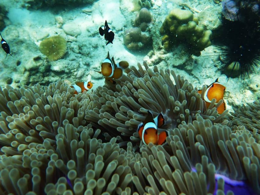 Trang: Emerald Cave, Kradan, Chueak Snorkeling Boat Trip - What to Bring (So You Don’t Regret It at 2 PM)