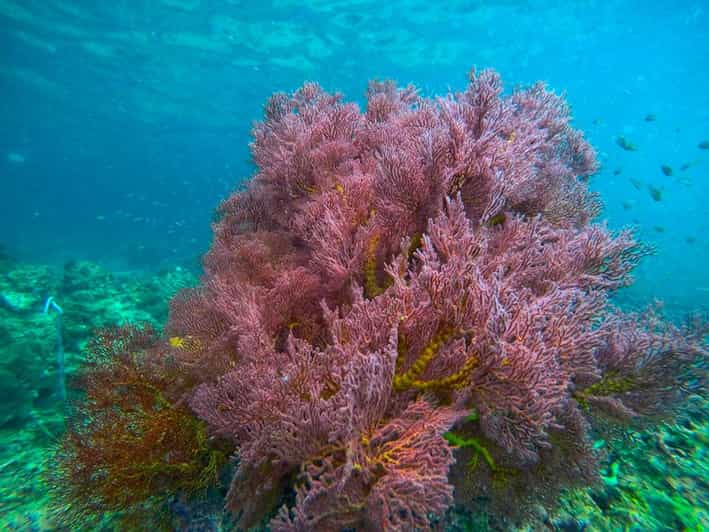Trang: Emerald Cave, Kradan, Chueak Snorkeling Boat Trip - Who This Tour Fits Best—and Who Should Skip It