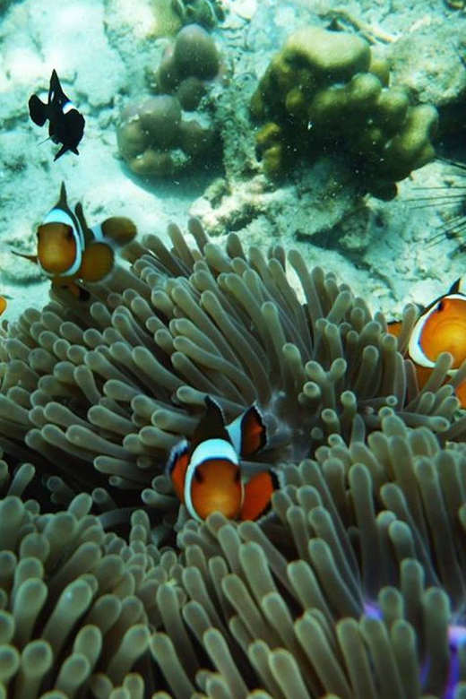 Trang: Emerald Cave, Kradan, Chueak Snorkeling Boat Trip - Emerald Cave on Ko Mook: The Lagoon Swim Everyone Talks About