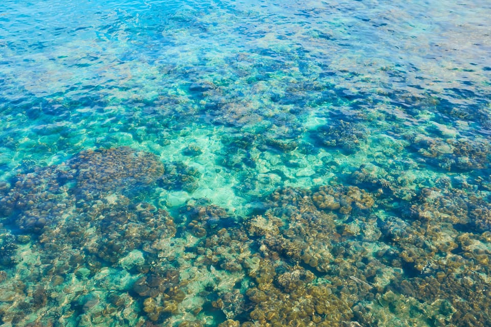 Trang: Full-Day Big Boat Adventure to Kradan & Chueak island - Who Should Book This Kradan and Chueak Day Trip