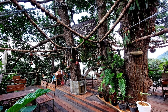 Tree Bridge Cafe And Zipline - Jungle Flight Adventure in Koh Samui - Price and value at $55.77: what you’re paying for