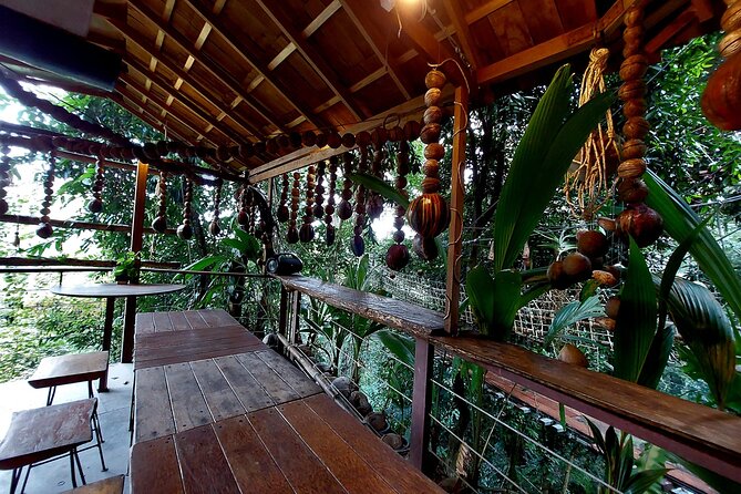 Tree Bridge Cafe And Zipline - Jungle Flight Adventure in Koh Samui - Safety, gear, and who should skip this Koh Samui zipline