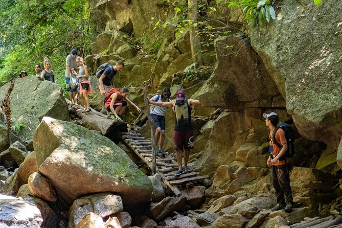 Trek to a Jungle Waterfall - The Trek Itself: 1.6 km Through Jungle, Then Back