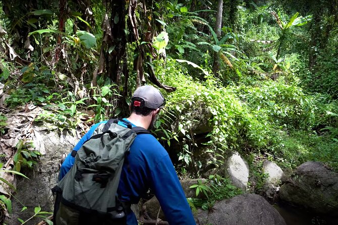 Trek to a Jungle Waterfall - Camp Base at 8Adventures: Food, Water, and a Calm Group Vibe