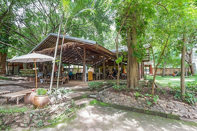 Trek to a Jungle Waterfall - Price and Value: Why This One Feels Fair
