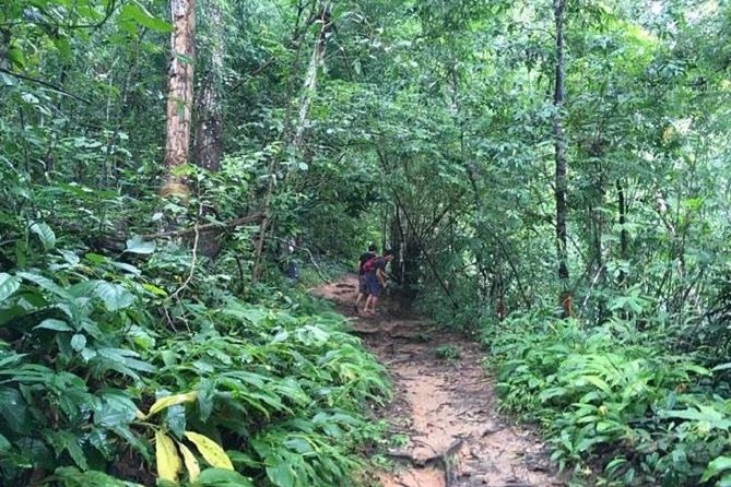 Trekking at the Monk Trail and Doi Suthep Temple Private Tour - Wat Phra That Doi Suthep: The Gold Pagoda Payoff