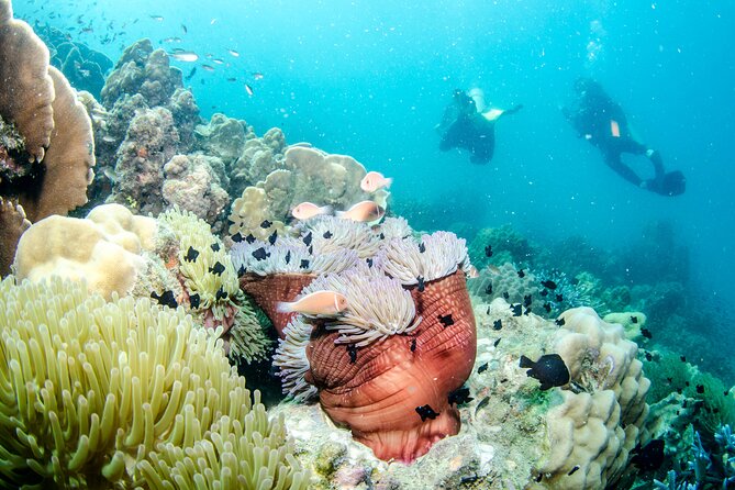 Try Scuba Diving 2 Dives Bang Bao - The 30-minute training: how your instructor helps you get control fast