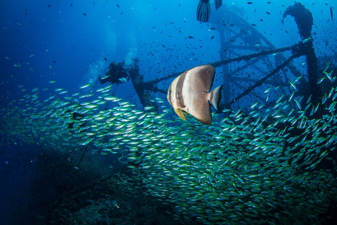 Try Scuba Diving 2 Dives Bang Bao - Who should book Try Scuba off Bang Bao (and who should rethink it)