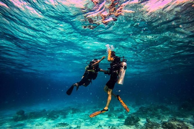Try Scuba Diving - Basic Diver Certification: A Bonus With Real Future Value