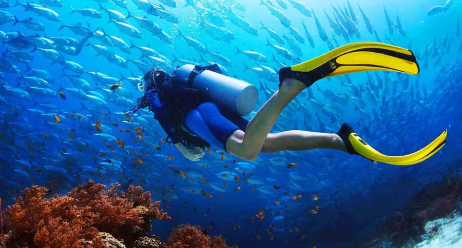 Try Scuba Diving in Racha Yai/noi: 2 Dives for Non-Certified - A 10-hour Phuket schedule built around two beginner-friendly water sessions