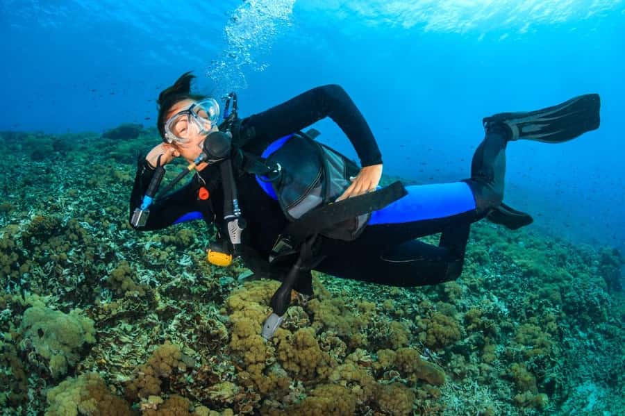 Try Scuba Diving in Racha Yai/noi: 3 Dives for Non-Certified - Price and Value: What $189 Buys (and Why It’s Not Just Gear)