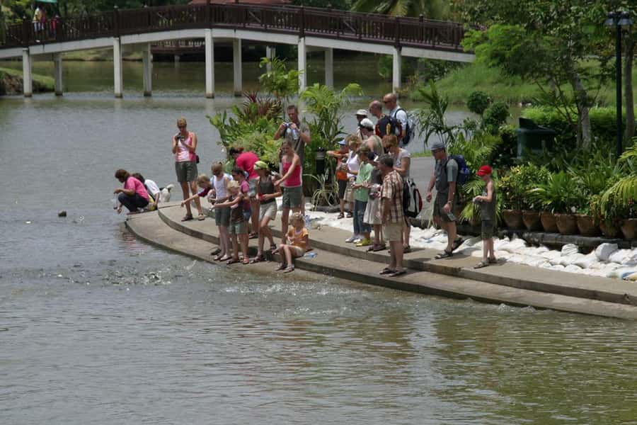 Tuk-Tuk, Longtail-boat and Rickshaw Bangkok jungle Tour - Price and value: what $96 buys you