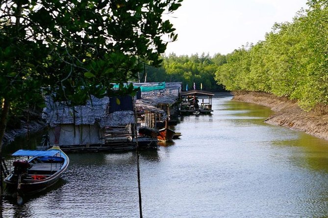 Tung Yee Peng Mangrove Forest Tour By Longtail Boat From Koh Lanta - The bridge and cement path: Start on land, then read the roots