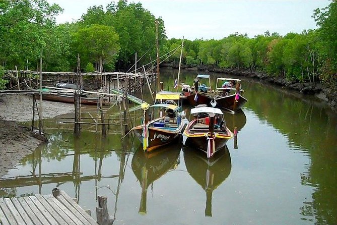 Tung Yee Peng Mangrove Forest Tour By Longtail Boat From Koh Lanta - Longtail boat through the protected mangrove waterways