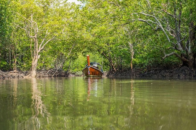 Tung Yee Peng Mangrove Forest Tour By Longtail Boat From Koh Lanta - Price and value: what $42.24 buys you on this route