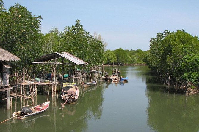 Tung Yee Peng Mangrove Forest Tour By Longtail Boat From Koh Lanta - Weather and sea conditions: how to plan without stress