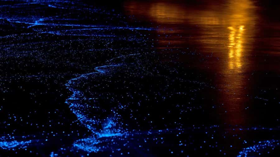Twilight Sea Canoe to James Bond Island w/ Glowing Plankton - Key Things That Make This Trip Worth Your Time