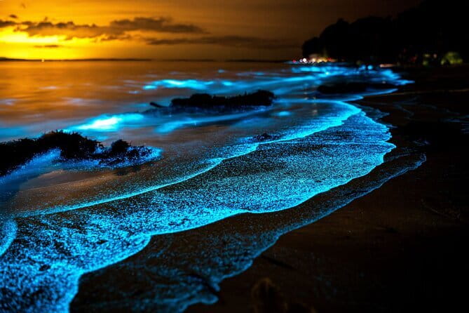 Twiligth Sea Canoe and Bioluminescent Plankton - Why Phang Nga Bay looks different after sunset
