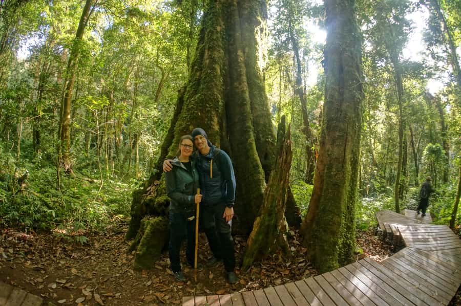 Two days Doi Inthanon national park - Why Doi Inthanon feels different from typical Chiang Mai day trips