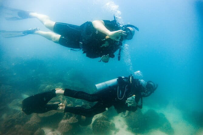 Two Fun Dives for Certified Divers in Koh Kood or Koh Rang - Entering the water: expectations for two underwater sessions
