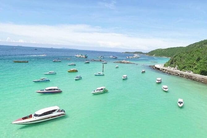 Two Fun Dives for Certified Divers in Koh Kood or Koh Rang - Price and value: why $39 can be a good deal (and when it isn’t)