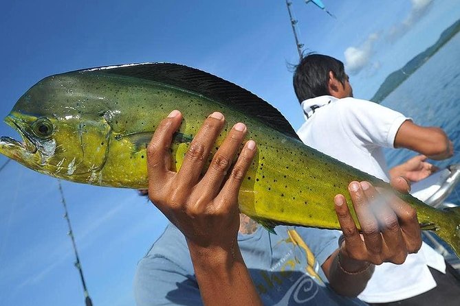Ultimate Full-Day Big Game Fishing & Trolling Tour - Price and value: is $104.17 per person fair for an 8-hour day?