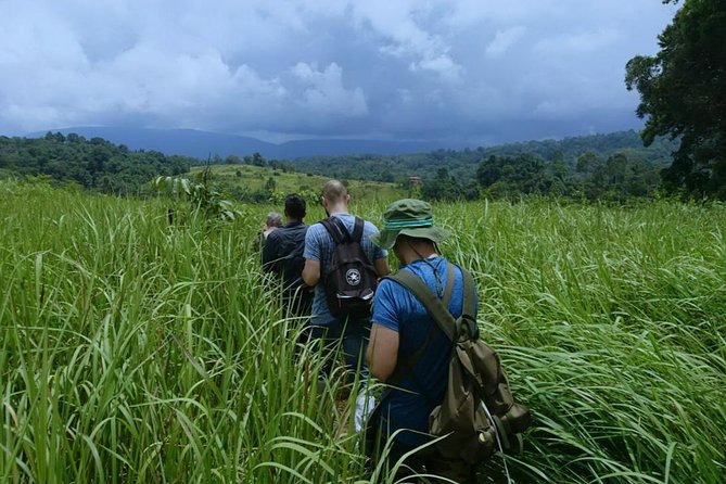 UNESCO Khao Yai National Park Adventure: Hiking & Waterfalls - Stop 1: Khao Yai National Park and the guided ranger walk