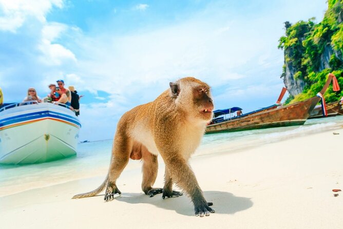 VIP Private Boat to Phi Phi Island: Snorkeling + Land Tour - What to Bring and How to Prepare for a Day This Busy