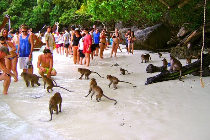 VIP Private Boat to Phi Phi Island: Snorkeling + Land Tour - Price and Value: Is $999 Per Person Worth It?