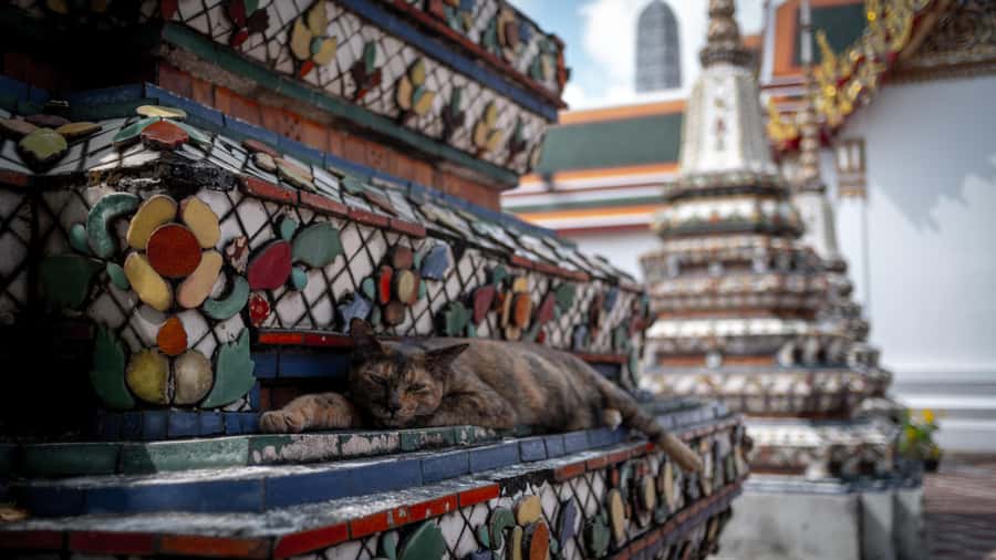 Walking tour Grand Palace, Emerald Buddha, Wat Pho, Wat Arun - Wat Pho and the Reclining Buddha: the stop with the most payoff per minute