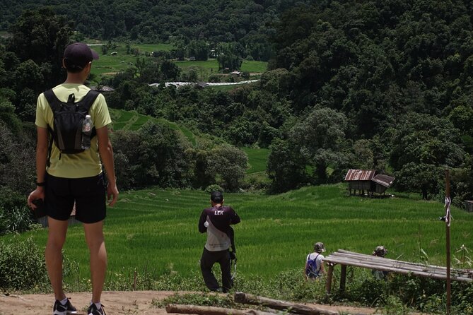 Waterfall Wanderer Doi Inthanon Hiking Tour - Price and what you’re really getting for $87.44