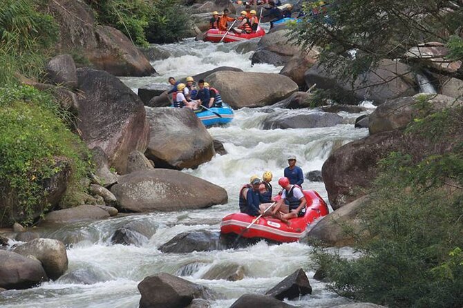 White Water Rafting and Waterfall Tour From Krabi - Wat Suwan Kuha Cave Temple: the 15-meter golden reclining Buddha