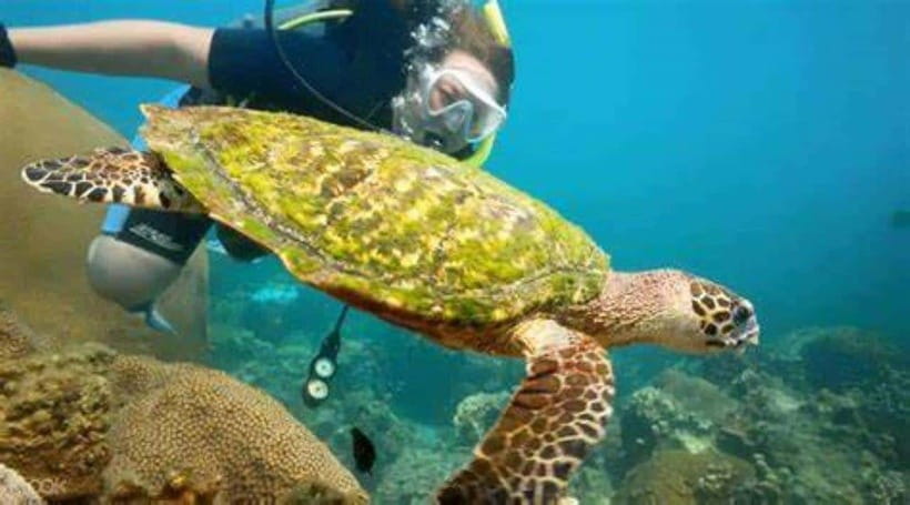 Wonder at Ang Thong Marine Park from Ko Samui - Should you book Wonder at Ang Thong Marine Park?