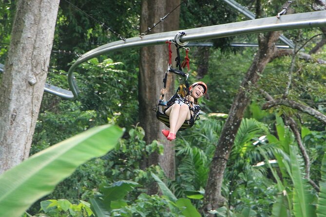 World B+ (Zipline 18 Platforms + Roller + Sky Walk with World Set Menu ) - The Roller Zipline Coaster: The 800m, 40 km/h Part
