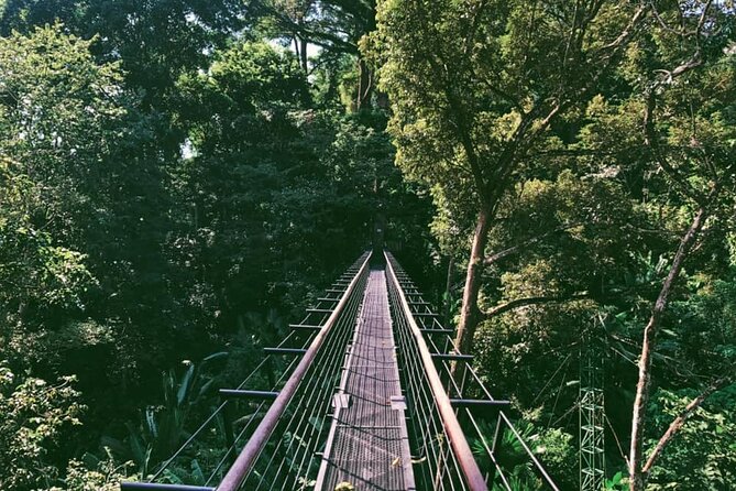World B+ (Zipline 18 Platforms + Roller + Sky Walk with World Set Menu ) - Abseils and the Spiral Staircase: More Than Just Zip Lines