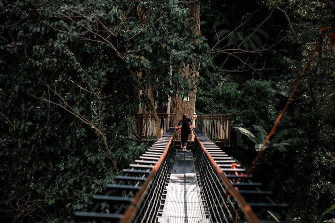 World B+ (Zipline 18 Platforms + Roller + Sky Walk with World Set Menu ) - Sky Walk With Sky Bridges: Views Plus Myth-and-History Storytelling