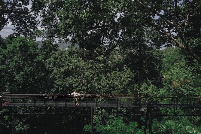 World C+ (Ziplines 10 Platforms + Roller + Sky Walk and World Set Menu ) - Hanuman World Phuket: more than just a single zipline