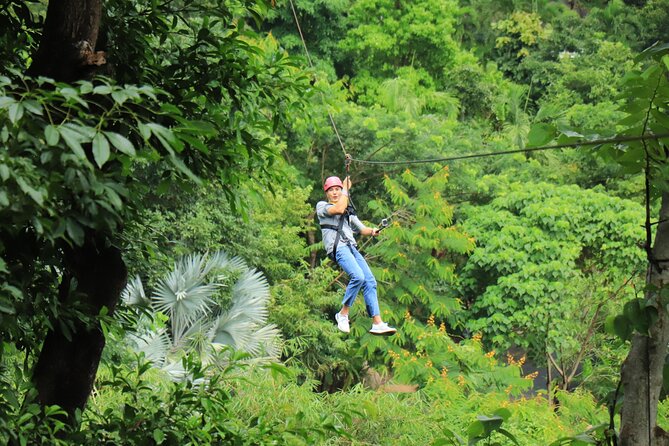 World C+ (Ziplines 10 Platforms + Roller + Sky Walk and World Set Menu ) - The zipline circuit: 10 platforms plus a long 400m run