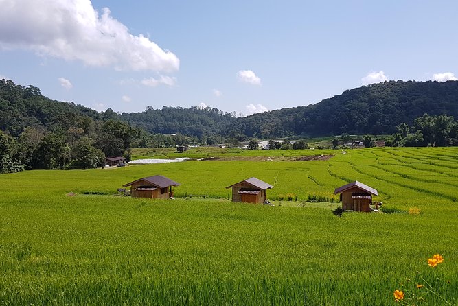 Wow! Doi Inthanon National Park Adventure, Lunch & Entry Included - Ban Mae Klang Luang Karen village: weaving, coffee, and a quick look at daily life
