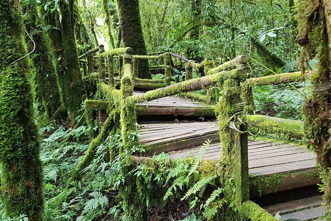 Wow! Doi Inthanon National Park Adventure, Lunch & Entry Included - Wachiratharn Falls: where the morning sound hits first