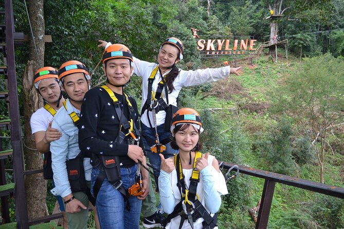 Zipline Adventure at Skyline Jungle Luge Chiang Mai - The Jungle Walk and the Guide’s Plant-and-Animal Talk